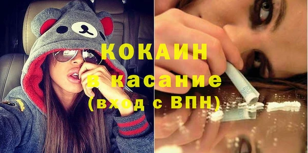 гашик Алексеевка